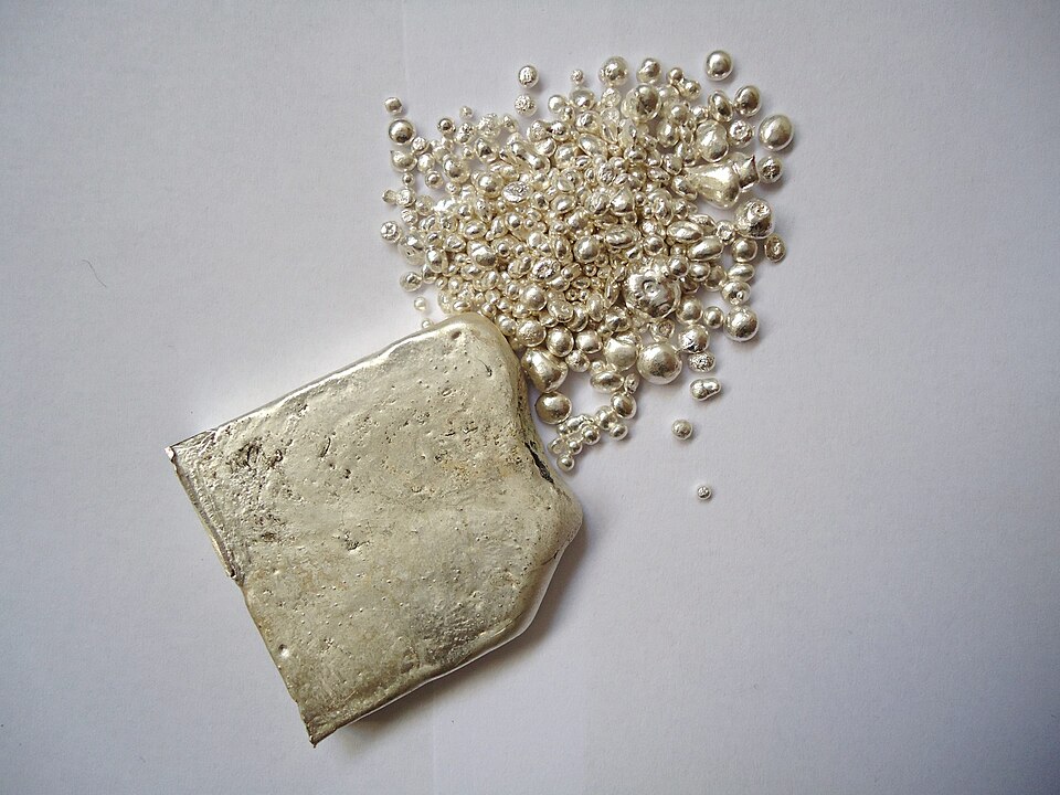 笑鴗鳥 1kg 銀